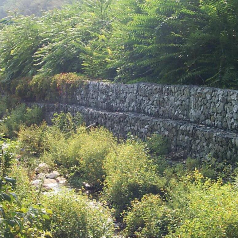 ʯ�\�W(w��ng)15531868633