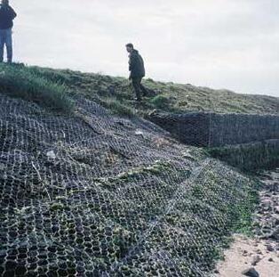 ��Wʯ�\�o��