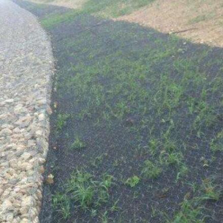 ���Z�o�|�S��15531868633