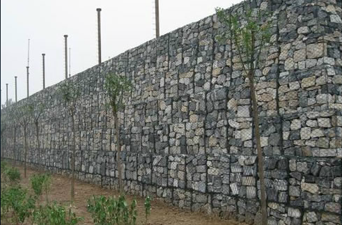 ���B���e����