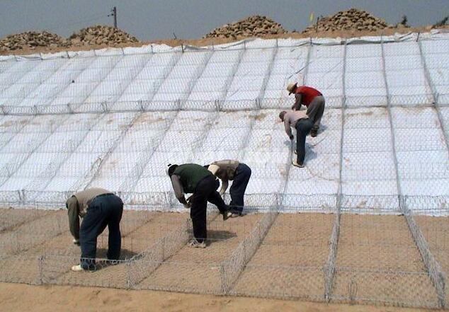 ���e�W(w��ng)�|��(y��u)��(sh��)