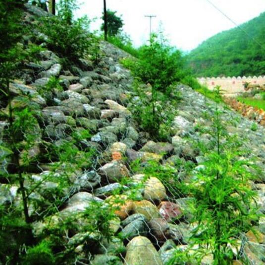 ���B(t��i)�o(h��)�¾W(w��ng)ʯ�\�|