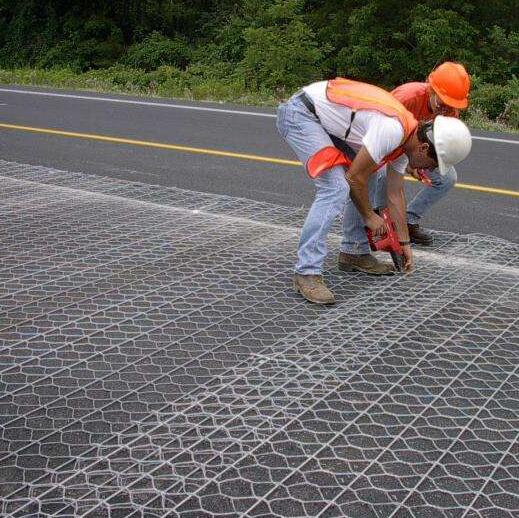 鍍鋅路面加筋網