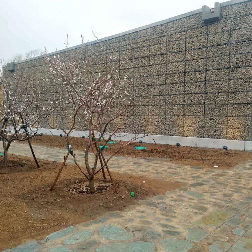 ���eʯ�\�aƷ