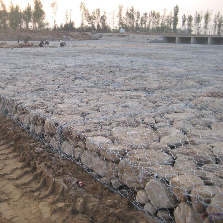 ���eʯ�\�o��