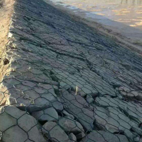 ʯ�\�W��S��15531868633