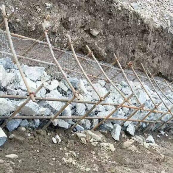 �̞I�\�W��