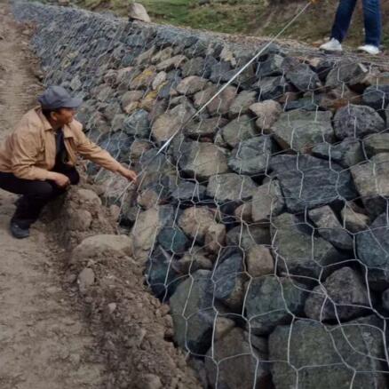 ���e�W�o���o��15531868633