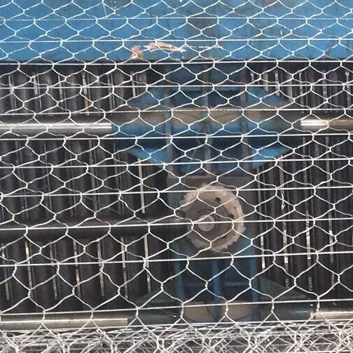 ·��ӽ�W(w��ng)�r��