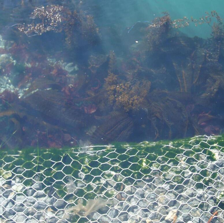 �ӵ��o��ʯ�\�W15531868633