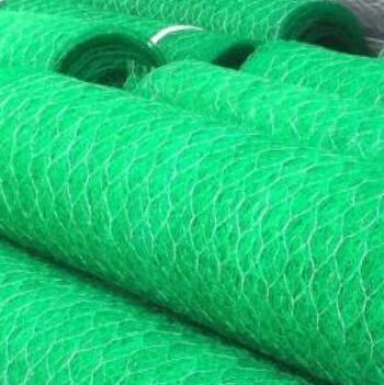 ���S���ˉ|�S��