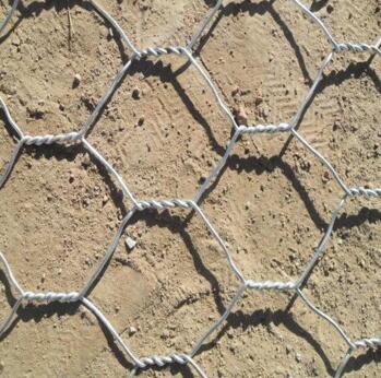 僸ߠ������e�W�\