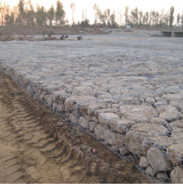 �ߟ���\���e�W